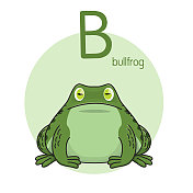 矢量插图牛蛙与字母B大写字母或大写字母的儿童学习练习ABC