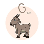 矢量山羊插图与字母G大写字母或大写字母的儿童学习练习ABC