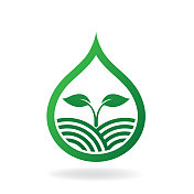 生态友好的 生态友好的