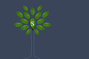 绿色金融投资增长战略
