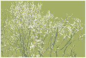 颜色自然植物树纹理背景