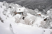 森林村下大雪