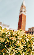 威尼斯圣马可广场 - 意大利