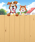 友好的邻居-猫和狗越过篱笆窥视 友好的邻居-猫和狗越过篱笆窥视