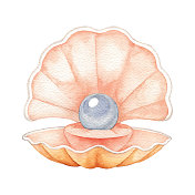 水彩珍珠在贝壳