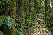 火山米拉瓦勒斯国家公园