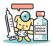 可爱的狗医生站在疫苗瓶和注射器对抗冠状病毒(COVID-19，流感病毒)