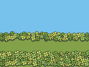 四叶草的土地 四叶草的土地