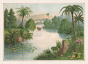 热带种植，彩色版画，出版于1873年
