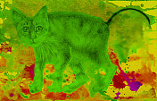 插图动物猫画水彩画小猫的画像与拱背在一个抽象的背景上展开水彩画