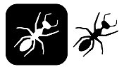 黑色和白色的蚂蚁图标
