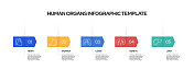人体器官概念向量线信息图形设计与图标。5个选项或步骤演示，横幅，工作流布局，流程图等。