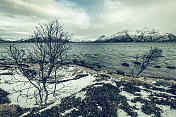 冬季，挪威Vesteralen岛上的M?klandsfjord