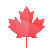 枫叶图标。加拿大的象征。矢量插图。股票插图