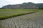 地面龟裂干燥