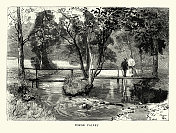 福吉谷，斯卡伯勒，北约克郡，维多利亚度假胜地，1888年，19世纪