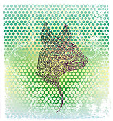 抽象图案全帧拍摄