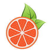 一片带绿叶的柑橘类水果
