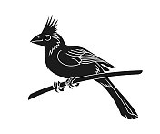 枢机鸟剪出矢量轮廓 枢机鸟剪出矢量轮廓