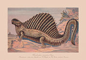 尖锐的异齿龙，二叠纪早期，彩色石刻法，1900年出版