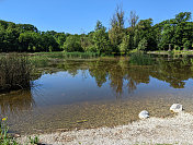 瑞士洛桑沃埃尔米塔奇附近的索瓦贝林动物公园的池塘