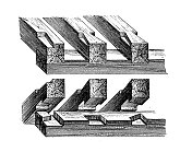 古董插图:结构和建筑:木架和接合