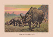 巨犀，始新世晚期，彩色石刻，1900年出版