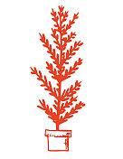 在透明背景上涂鸦的圣诞元素-圣诞树