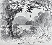 萨摩亚景观 萨摩亚景观