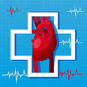医学、保健和急救的概念在一个扁平化的风格。人类的心脏与脉搏在彩色的抽象背景。