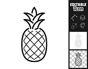 菠萝。图标设计。轻松地编辑
