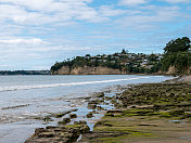 新西兰奥克兰的红海滩