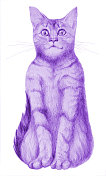 插图画与铅笔肖像坐在白色背景上的猫