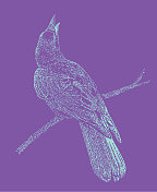 乌鸦栖息在树枝上 乌鸦栖息在树枝上