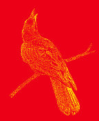 乌鸦栖息在树枝上 乌鸦栖息在树枝上