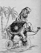 马戏团里的动物训练:骑着三轮车的大象和一头狮子骑在一起
