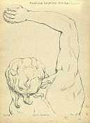 速写和绘制人的手臂和肩膀，维多利亚艺术人物素描复制19世纪