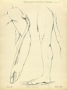 素描和绘制人的手臂和腿，维多利亚艺术人物画复制19世纪