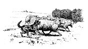 古玩形象:放牧的牧羊犬