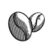 咖啡豆线图标,草图设计,像素完美,可编辑的笔画。咖啡 咖啡豆线图标,草图设计,像素完美,可编辑的笔画。咖啡