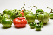 白色背景上的西红柿。番茄品种