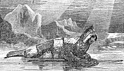 因纽特人跟踪猎物时，海豹狩猎在巴芬岛，加拿大- 19世纪