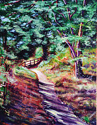 穿过树林的小路 穿过树林的小路