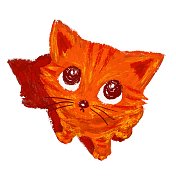 红猫抬头看 红猫抬头看