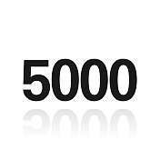 5000 - 5000。白色背景上反射的图标
