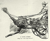 奇怪的维多利亚式交通工具，鸵鸟动力马车，19世纪90年代