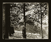 树前的维多利亚时代女孩,约1890年 树前的维多利亚时代女孩,约1890年