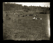 在牧场野餐维多利亚时代的照片,大约1890年 在牧场野餐维多利亚时代的照片,大约1890年