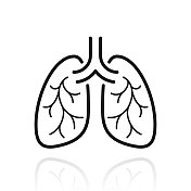 肺。白色背景上反射的图标