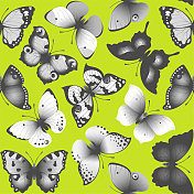 时尚蝴蝶图案 时尚蝴蝶图案